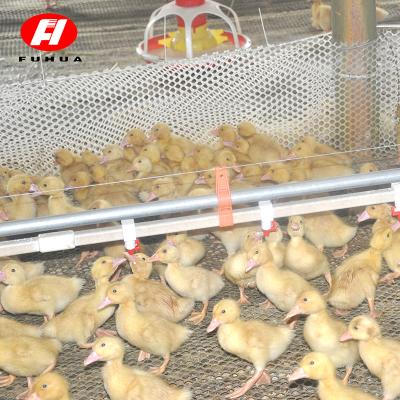 China Farms Tending Prefab Products Best Of Chicken Farm Price for sale