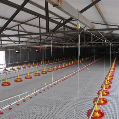 China Ball Value and Cone Value Poultry Raised Nipple Drinking System High Quality for sale