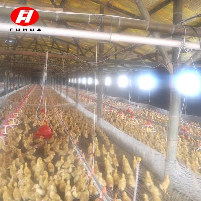 China Poultry Farm Poultry Auger Round Bullet Feeder For Breeding Hens for sale