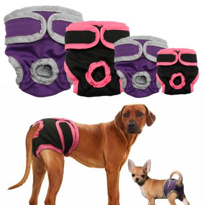 China Viable Female Male Dog Shorts Puppy Pants Diaper Pet Physiological Underwear For Small Meidium Girl Dogs for sale