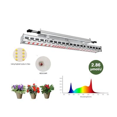 China Seed Starting 600w Led Grow Light Design For Greenhouse Best Commercial Led Grow Light for sale