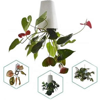 China Home Gardening Eco - Friendly Decoration Plastic Upside Down Sky Hanging Flower Pots for sale