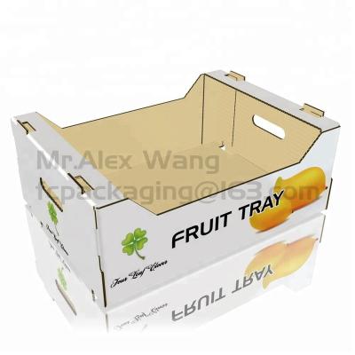 China Design Recyclable And Customize Double Wall Mango Tray Corrugated Cardboard for sale