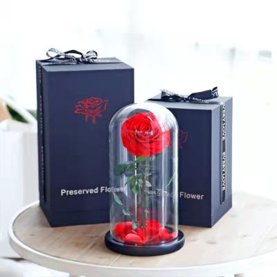 China Valentine's Day Gift Valentine's Day Gift Factory Direct Selling Valentine's Day Gift Preserved Natural Preserved Rose Flower in Glass Dome Big Prince for sale