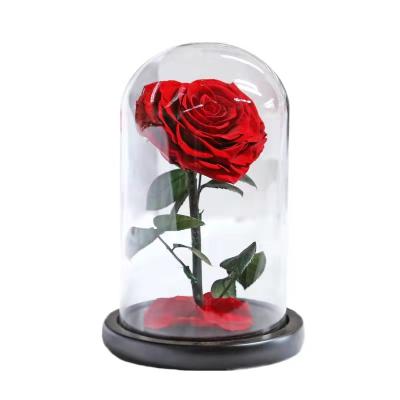 China Factory Direct Sale Valentine's Day Gift Forever Rose In The Glass Dome With Heart Shape Gift For Girlfriend Anniversary Birthday Festival Girlfriend for sale