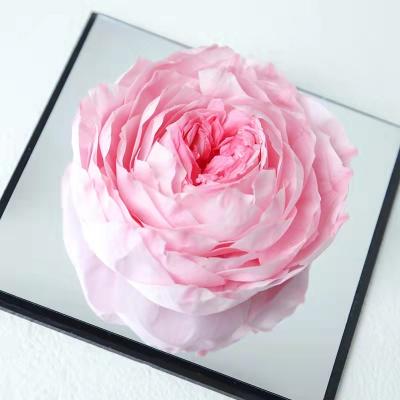 China Valentine's Day Gift Birthday Gift Original Factory Acrylic Mirror Preserved Austin Rose Gift Box Eternal Rose Box for Wholesale for sale