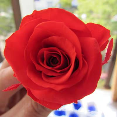 China Original Factory Handmade Events Decoration A Grade 3-4cm Wedding Supplies Natural Preserved Flower Head Everlasting Rose Bud for sale