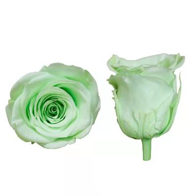 China High Quality Event Decoration Direct Sales A Grade 5-6cm 100% Real Rose Made Preserved Rose Bud Rose Head for sale