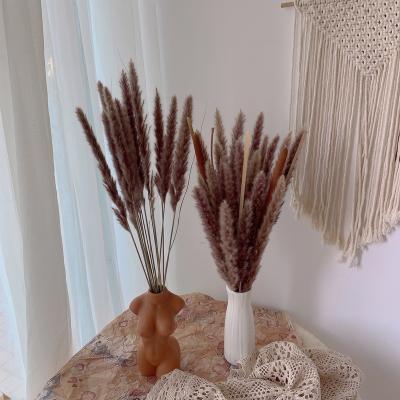 China Wedding pampas grass fluffy dry wedding flower arrangements factory direct sale decorative flower rustic home decor bouquet small flower for sale