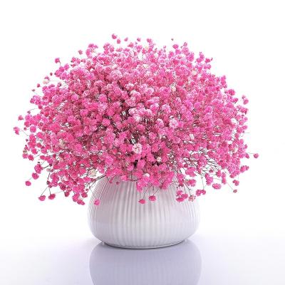 China Wedding Flower Arrangements Wholesale Home Decorative Preserved Dry Eternal Flower Wedding Flower Bouquet Gypsophila Baby's Breath for sale