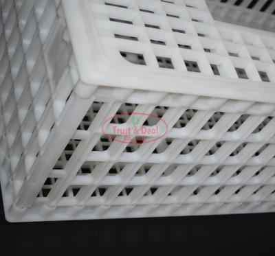 China Durable Farm Equipment Plastic Transport Chicken Crate for sale