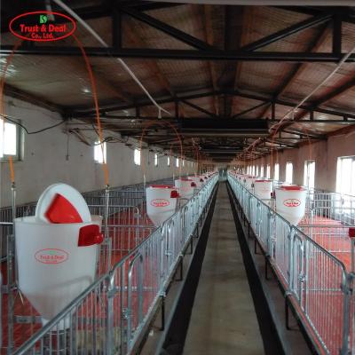 China Pig Farm Automatic Pig Feeder Wet Dry Feeder For Pig Farm Equipment for sale