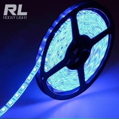 China Residential Flexible LED Strip Lights SMD 2835 LED 12V DC Non-waterproof Light Strips LED Ribbon For Gardens/Homes/Kitchen/Cars/Bar for sale