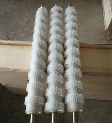 China High Quality Nylon Roller Brush For Fruit And Vegetable Waxing for sale