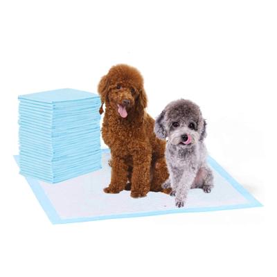 China Hot Selling Viable Durable Leak Proof Pad Puppy Dog Puppy Training Absorbent Pad With Stickers for sale