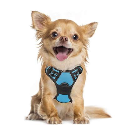 China New Design 2021 Luxury Pet Harness Customized Sustainable Large Dog Harness for sale