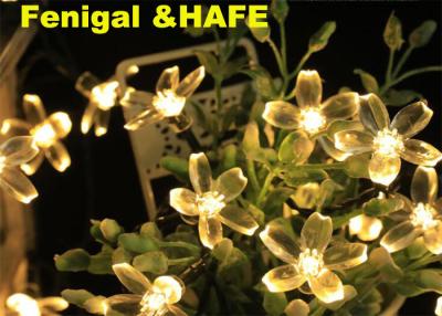 China Hanging 3M Led Cluster String Lights For Christmas Lighting Decoration for sale