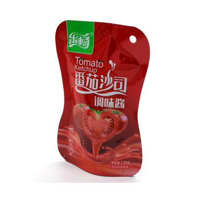 China Hot Selling Cheap Custom Made Moisture Proof Ketchup Bag Custom Packs With Resealable Spout for sale