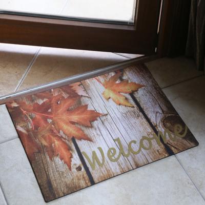 China Non-slip 3D Washable Absorbent Printed 100% Polyester PVC Coir Coil Rubber Door Mat 3mm for sale