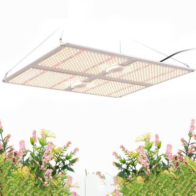 China Seed Starting 2975umol/s High Full Spectrum PPFD 600w Dimmable Led Grow Light For Plant Grow for sale