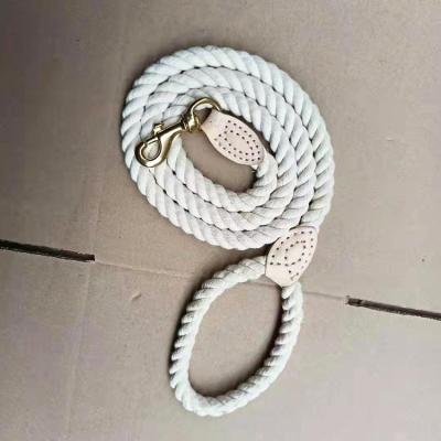 China Wholesale Price Terylene Dog Leash Nylon Viable Collar Pet Dog Leash White Pet Leash for sale