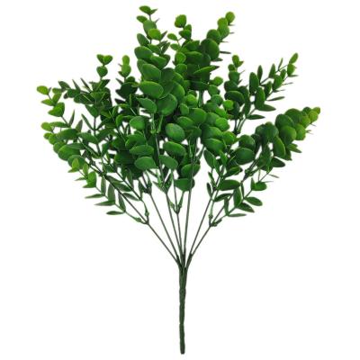 China China Professional Widely Application Best Plastic Manufacturer Selling Quality Eucalyptus for sale