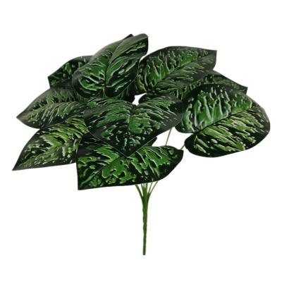 China Origin simulated leaf high quality and durable Guangdong simulated evergreen taro leaves calathea roseopicta for sale