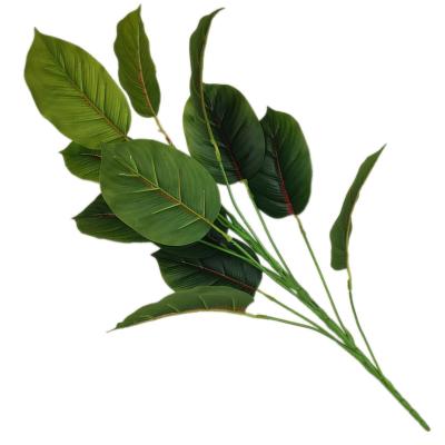 China Popular Wholesale Popular Amazing Quality Design Rubber Tree Professional Leaf Rubber Tree Leaf for sale