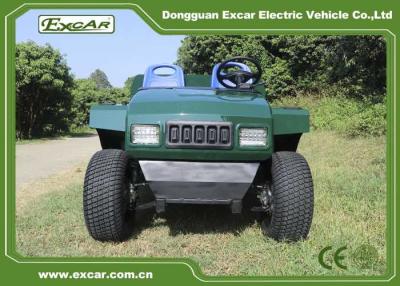 China Whosale Excar New Design Model Electric Mini Buggy Car  Golf Car en venta