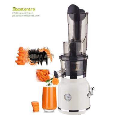 China 200W Household Electric Slow Juicer With Multi Sobret Function for sale