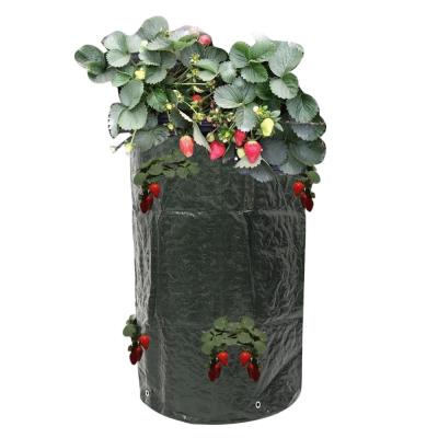 China Europe Garden Strawberry Planter Strawberry Grow Bags Garden Planters With Handles for sale