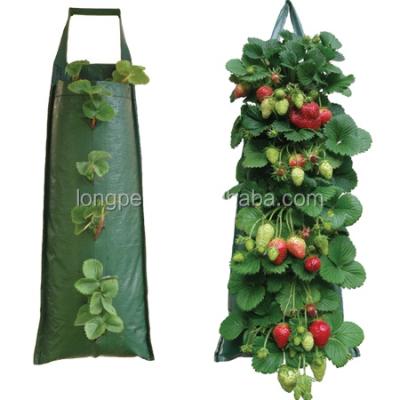 China Garden Growing Planter Bag Strawberry Flower Bag Planter PE Plant Hanging Bags Grow Bag for sale