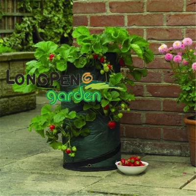 China Garden Growing Bag Planter Bag Pop Strawberry Growing Bag , Pop Up Bag Plastic Grow Bag for sale