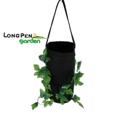 China Garden Growing Hanging Bag Planter Bag 2 x Strawberry Planters , PE Strawberry Planter for sale