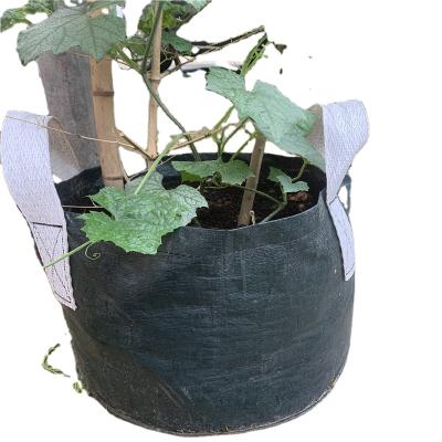 China Plastic Garden Grow Bag Vegetable Sack Tree Planter Planting Bag With Hard Handles for sale