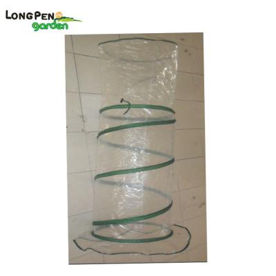 China Easily Assembled Automatic Garden Greenhouse , Plastic Cover Mini Greenhouse for sale