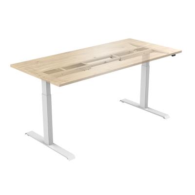 China Position Adjustable Electric Height (Height) Adjustable Desk for sale