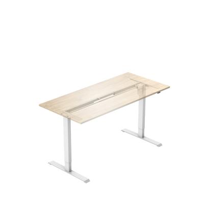 China (Height) Height Adjustable Ergonomic Desk-Adjustable Desk for sale