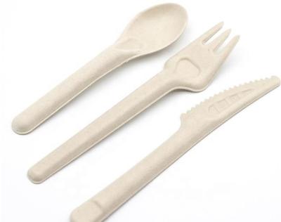 China Eco-friendly 100% Disposable Compostable Biodegradable Sugarcane Pulp Bagasse Cutlery Paper Bagasse Tableware for sale