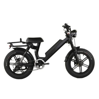 China Popularity Aluminum Alloy 2021 Hot Selling Products Brand New Removable Battery Electric Bicycle for sale