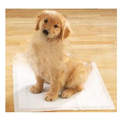 China High Quality Disposable OEM Viable Service Dog Training Pads With 5 Layers Of Protection for sale