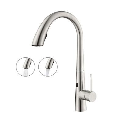 China Sense Faucets Vintage sus 304 Mixer Taps Kitchen Faucet Brushed Nickel 360 Valve USA Shawar Trade for sale