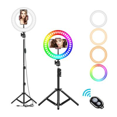 China New Fashionable Custom Made Designer ABS /Iron Good Quality 190cm Adjselfie Professional Photographic Selfie Ring Light for sale