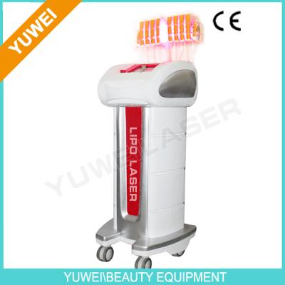 China Lose Weight 650nm Lipo Laser Slimming Machine and Shape forming Equipment with CE for sale