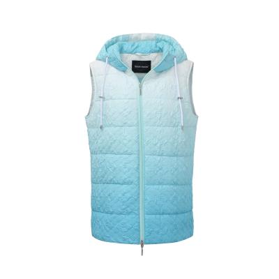 China Waterproof 2023 new arrival  women  Autumn spring  Polyester dip dye  special  quilted padded hooded vests outdoor  fashion GRS optional for sale