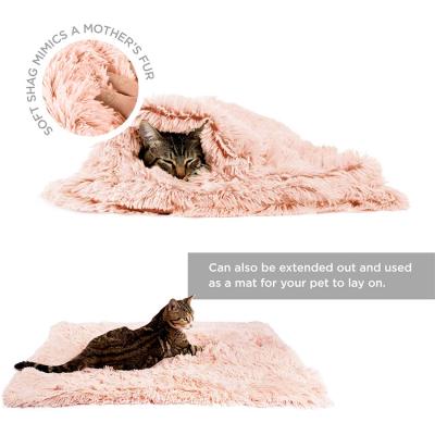 China Custom Washable Soft Plush Pet Blanket Puppy Design Removable Fluffy Warm Luxury Double Side Bedding Blanket for sale