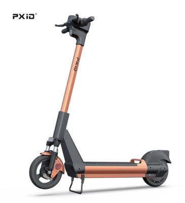 China 9.5inch Aluminum Alloy 36V 350W Motor 4G IOT Customize Sharing Electric Scooter for sale