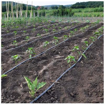 China Can be customized according to actual situation wholesale accessories than 1 hectare farm drip tape drip irrigation system cheap price for sale