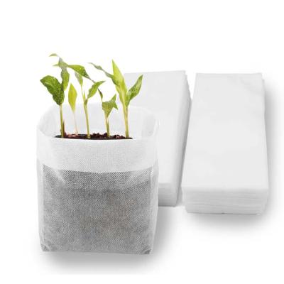 China Degradable Sapling Breathable Nonwoven Fabric Bag Absorption Water Seedling Degradable Bag for sale