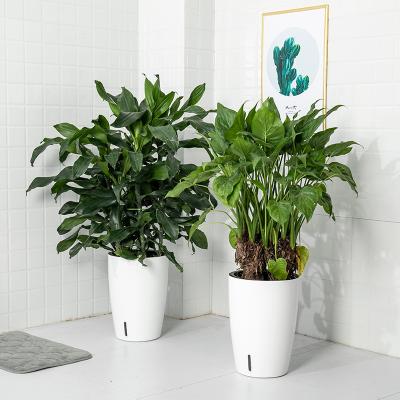 China Self Watering Cheap Price Round Shape Flowerpot White Self Watering Extra Large Plastic Flower Pot for sale